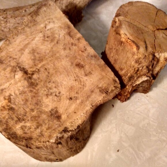 Two Small Real Wood Tree Stumps Fairy Garden Gnome Village Rustic Accent - Picture 9 of 11